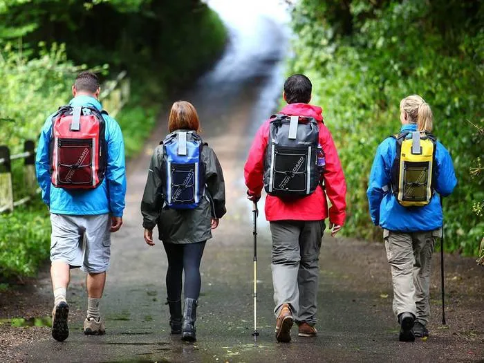 Pro-Sports Waterproof Backpack - 20 Litres